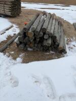 Large assortment of fence posts