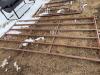 2-10ft gates