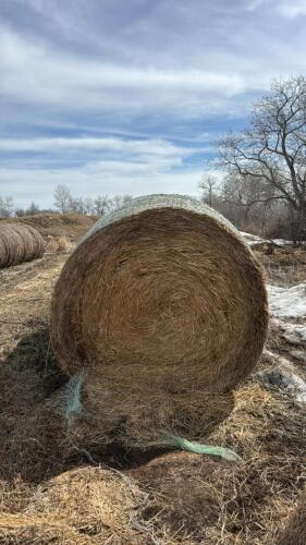 10- bales of straw