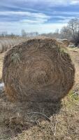24- Bales of Brime grass mix hay