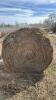 24- Bales of Brime grass mix hay