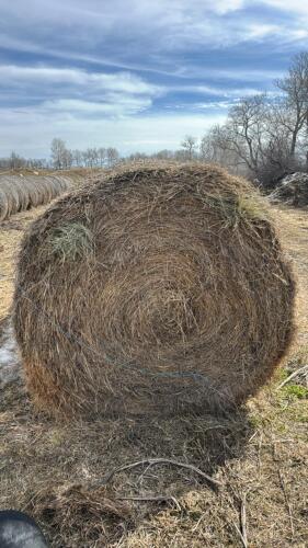 25- Bales of Brome grass mix hay