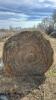 25- Bales of Brome grass mix hay