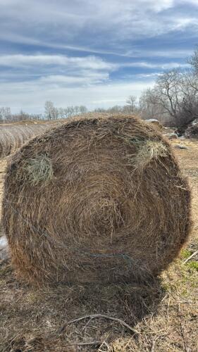25- Bales of Brome grass mix hay