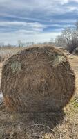 25- Bales of Brome grass mix hay