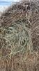 25- Bales of Brome grass mix hay - 2