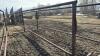 3-30&rsquo; self standing panel w/2 bars &3-1&rdquo; cables