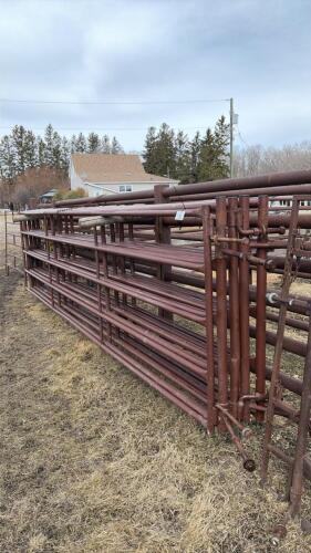2- 16&rsquo; hi qual gates with hinges