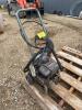 Briggs & Stratton pressure washer