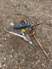 Fence stretcher come along and grease gun