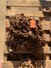 Assortment of chain
