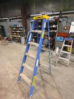 6ft Featherlite ladder
