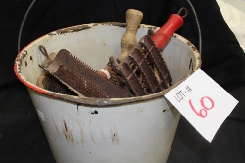 pail w/ currie combs & brushes