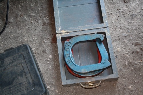 Horse shoes