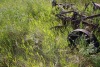 4 furrow plow