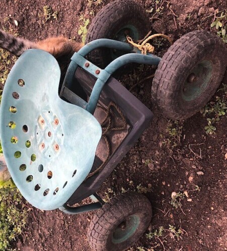 4 wheel garden cart seat w/ swivel & adjustable seat
