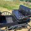 Antique buggy - 7