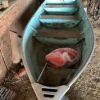 14' Lund boat w/ 7.5 hp Mercury motor & paddles & trailer - 2