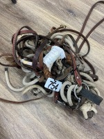 Tie down, Bridle, Lead shank, Bits