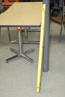 Surveyors stick