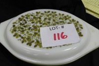 pyrex casseerole