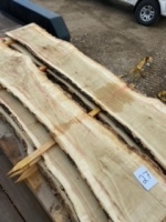 2 - Maple Slabs 7' x 18" x 2" (not dry)