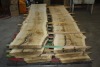 2 - Maple Slabs 7' x 18" x 2" (not dry) - 2