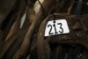 Heavy horse harness - 2