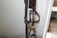 Riding bridle