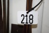 Riding bridle - 2