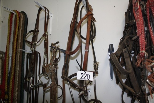 2 - riding bridles