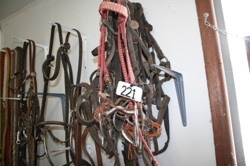 Bridles & halters