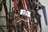 Bridles & halters - 2