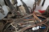 Large quantity of harness parts, bridles, halters - 2