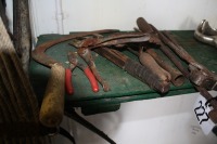 Hoof trimmers, combs, hay knife, tooth tool, & 2 sets of bedeezers