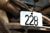 Boxes of various leather & harness tools/ other tools - 2