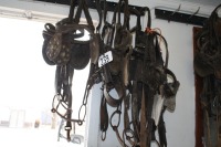 Heavy leather bridles