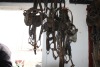 Heavy leather bridles - 3