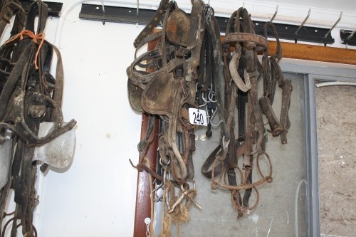 Misc. Leather bridles