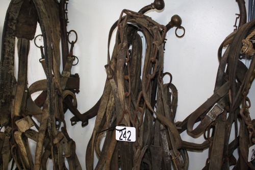 Full set of single work harness