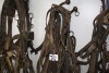 Full set of single work harness