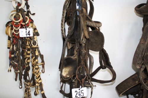 Leather bridles