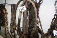 Single work harness w/ britches