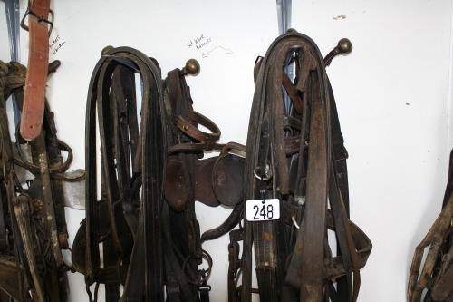 Double set of work harness