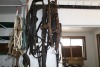 Full set of sulke harness w/ lines & bridles - 2