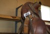 14" western saddle - 2