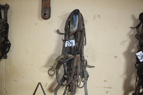 Assorted leather halters