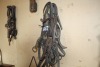 Assorted leather halters - 2