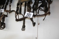 4 - assorted bridles