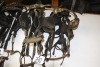 4 - assorted bridles - 2